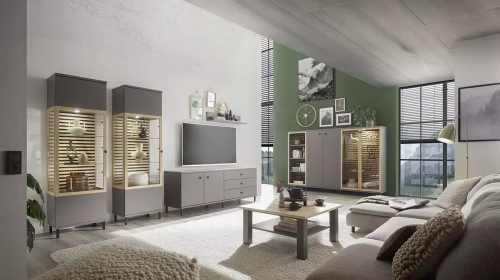 Wohnwandprogramm Join von Wehrsdorfer