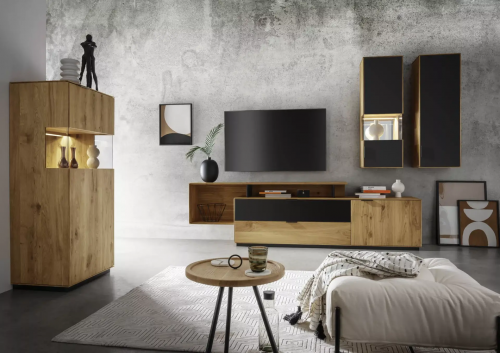 Wohnprogramm Lugano von TPT